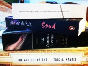 The men in my life keep giving me massive books as gifts. In 2013, I resolve to read them.