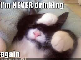 This kitty is never drinking Whiskey again.... Tanqueray is still on the table, however. 