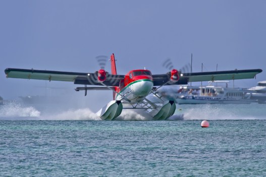 For a seaplane, I'll consider giving up my singleton status this summer.